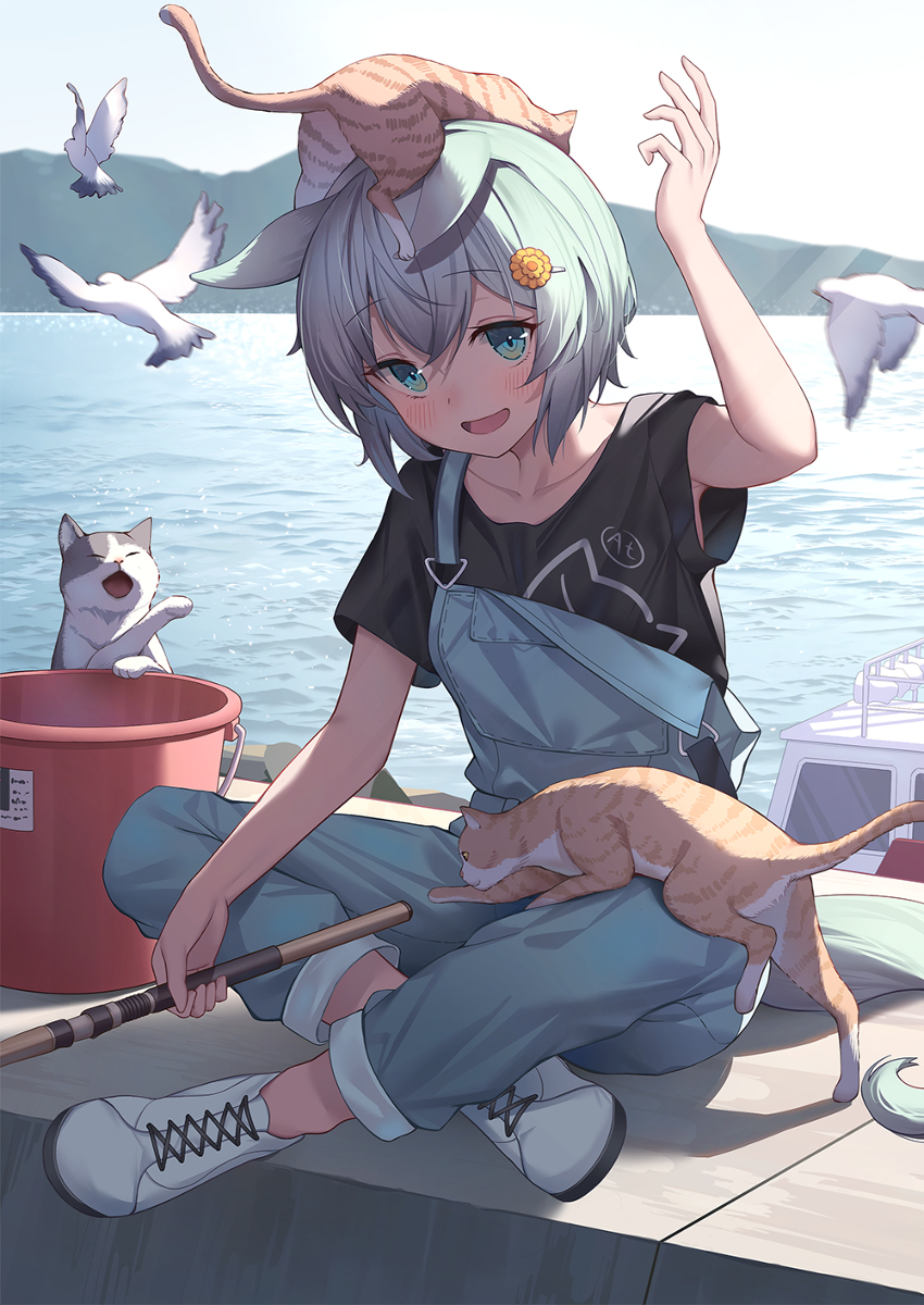 この様に